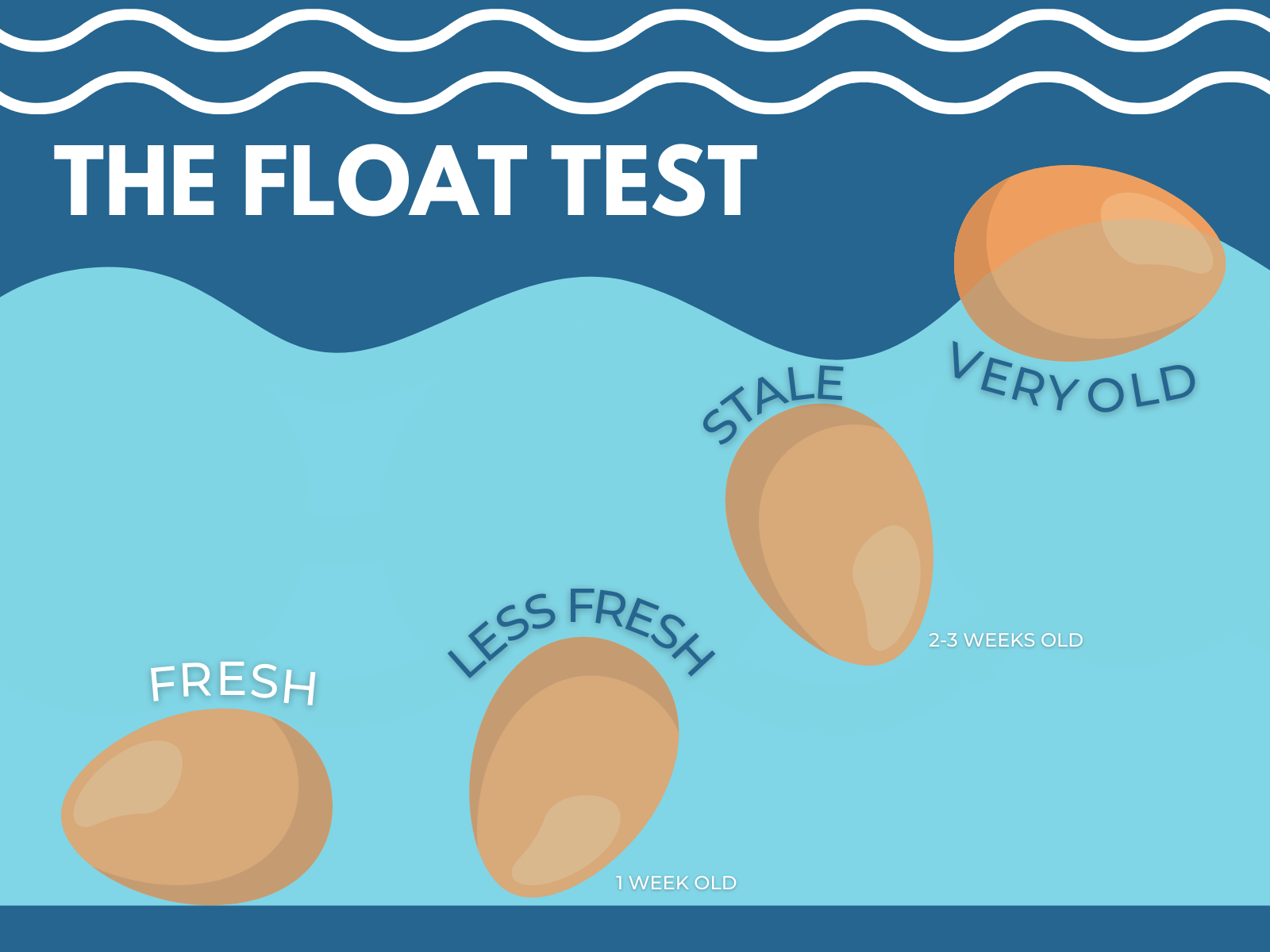 The Float Test (AJINOMOTO)