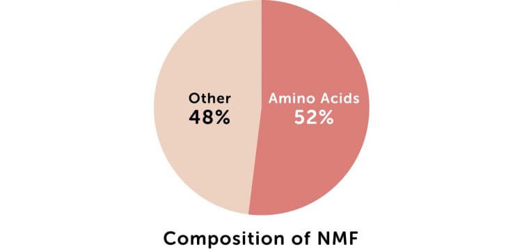 Composition of NMF